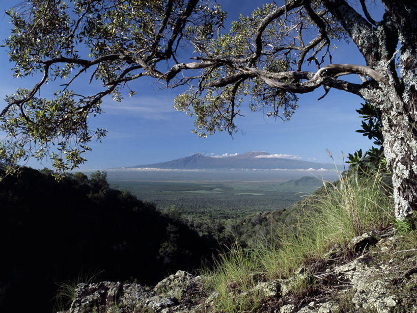 无人,横图,室外,火山,山,山脉,非洲,肯尼亚,地形,山谷,树,绿色,自然,摄影,乞力马扎罗山,活火山,彩图,火山学