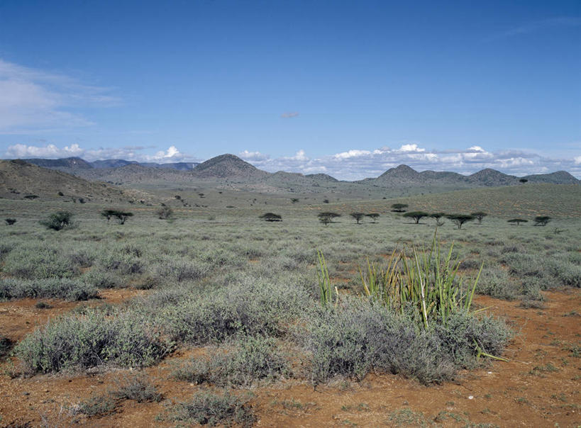 无人,横图,室外,留白,非洲,肯尼亚,地形,山谷,蓝色,天空,摄影,金合欢树,岩石,红土,彩图
