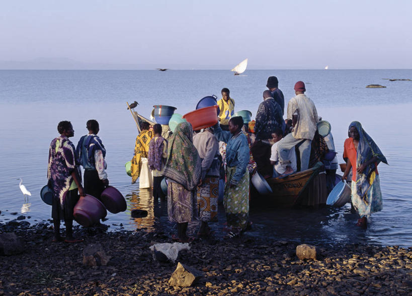 成年人,人群,横图,室外,消费,渔业,生产线,白鹭,非洲,肯尼亚,小贩,商品,市场,鱼类,帆,摄影,水禽,购买,清新,独木舟,忙碌,贩卖,贸易,维多利亚湖,小白鹭,女人,彩图,钓鱼,鱼市,基苏木,尼扬扎省