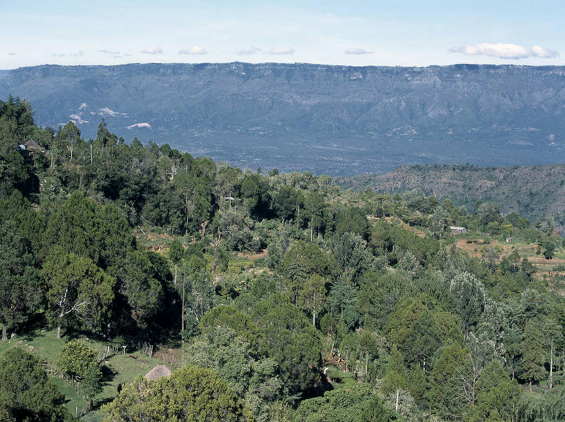 无人,农场,横图,室外,农业,梯田,农作物,山,山脉,非洲,肯尼亚,田地,山谷,摄影,彩图