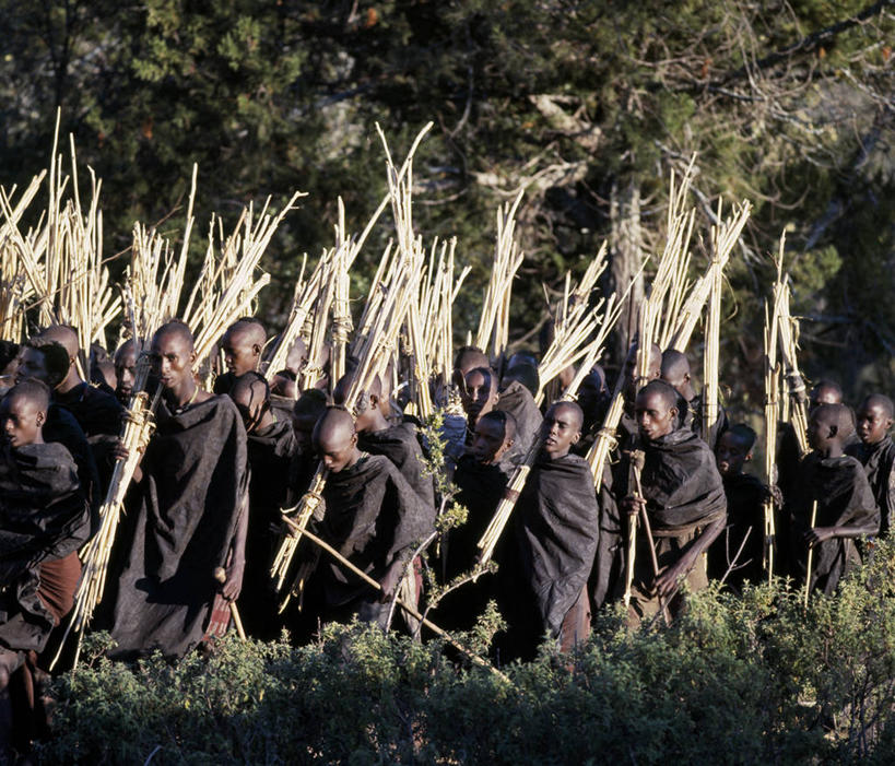 横图,生产线,项链,珠宝,非洲,肯尼亚,珠子,武器,摄影,典礼,矛,非洲文化,彩图,传统服装,传统文化,成人仪式