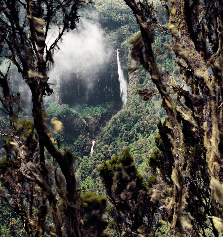 无人,竖图,室外,瀑布,森林,树林,水,植物,雾,非洲,肯尼亚,倒,云,竹林,地衣,树,摄影,落下,石南花,彩图