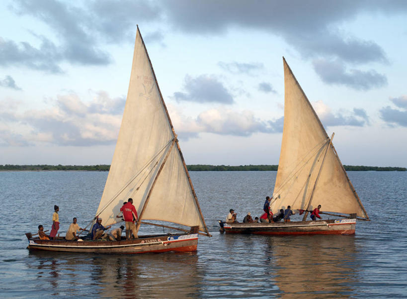 帆船,横图,船,非洲,肯尼亚,渔船,交通工具,帆,摄影,载具,彩图
