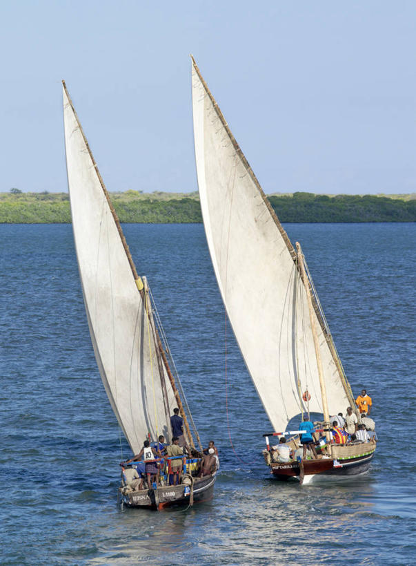 帆船,竖图,船,交通工具,乘务员,帆,摄影,载具,美术工艺,阿伦岛,彩图
