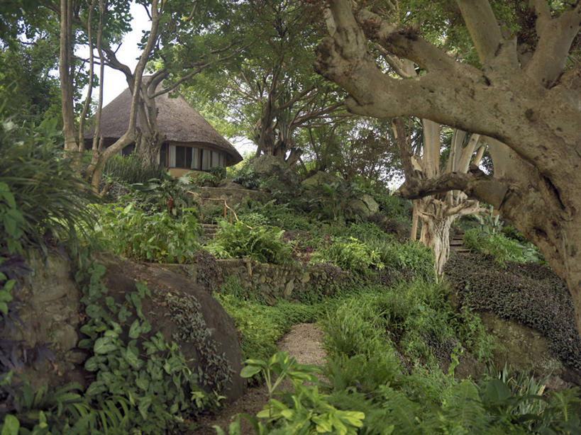 无人,家,横图,室外,旅游,非洲,肯尼亚,房屋,屋顶,屋子,草屋,顶棚,住宅,茅草屋,摄影,热带气候,维多利亚湖,无花果树,彩图,旅行,房子,茅舍,茅屋,小屋