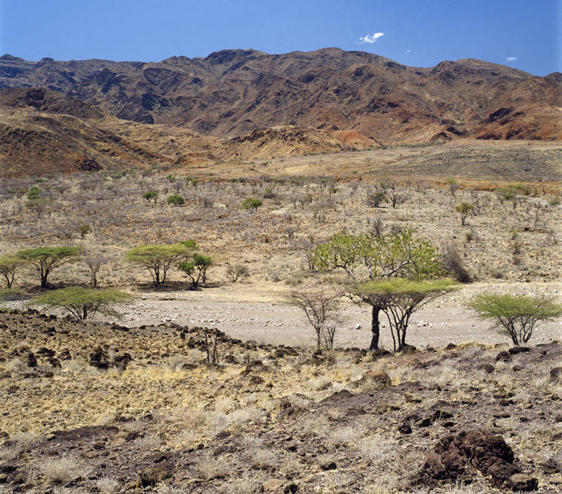 无人,横图,室外,火山,非洲,肯尼亚,地形,山谷,熔岩,摄影,金合欢树,活火山,彩图