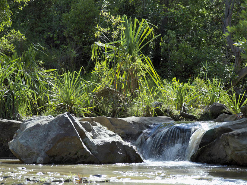 无人,横图,河流,瀑布,峡谷,棕榈树,非洲,马达加斯加,小溪,摄影,宁静,图利亚拉,彩图