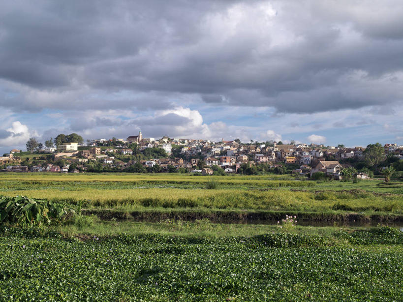 无人,横图,彩色,室外,非洲,马达加斯加,稻田,地形,郊区,首都,摄影,五颜六色,明亮,色彩斑斓,五彩缤纷,五彩斑斓,凤眼莲,塔那那利佛,五光十色,彩图