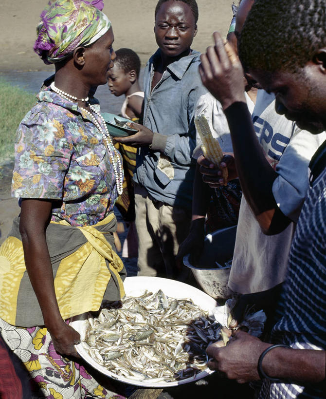 竖图,室外,商务,消费,渔业,非洲,马拉维,食品,鱼类,动物,社区,摄影,贩卖,贸易,马拉维湖,丽体鱼,海产,彩图,鱼市,传统文化