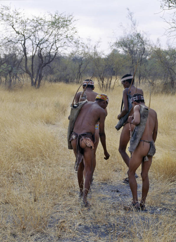 成年人,人群,竖图,白天,非洲,纳米比亚,弓,弓箭,箭,武器,摄影,灌木,非洲文化,猎人,男人,彩图,传统服装,布须曼人,萨尔瓦人,桑人,传统文化,布什曼族,游牧民族