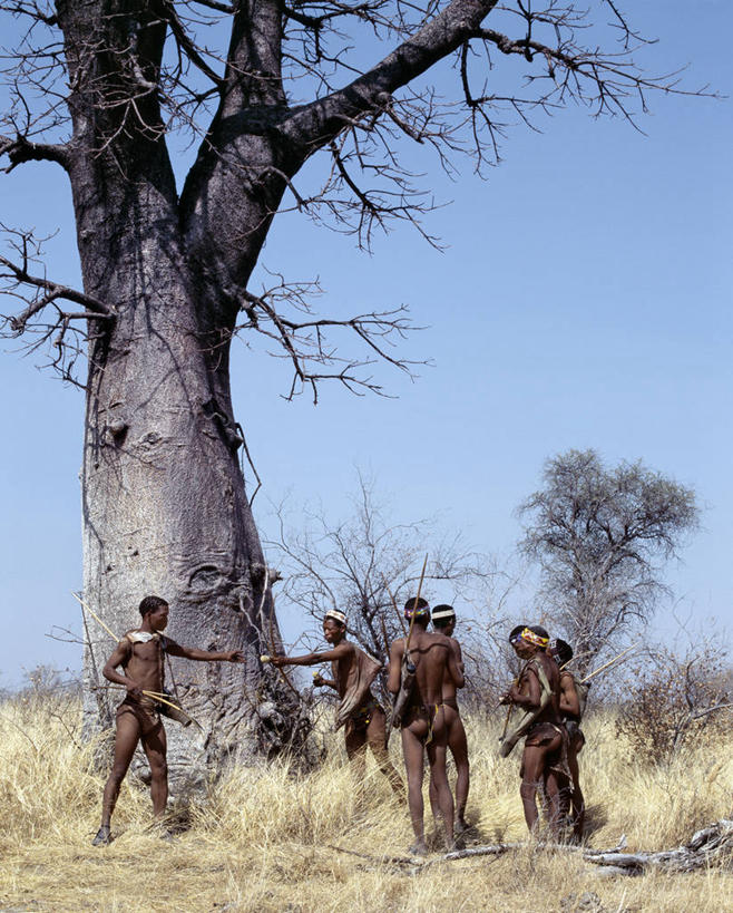 成年人,竖图,室外,石头,非洲,纳米比亚,束发带,皮革,人体,摄影,皮肤,灌木,非洲文化,磨光机,技能,男人,女人,岩石,彩图,传统服装,布须曼人,萨尔瓦人,桑人,传统文化,布什曼族,游牧民族