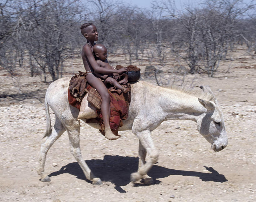 儿童,两个人,家庭,兄弟,横图,室外,纯洁,沙漠,非洲,纳米比亚,红色,动物,家畜,可爱,童年,童趣,运输,摄影,灌木,童真,烂漫,无邪,非洲文化,驴子,奥普沃,天真,男性,彩图,传统文化,游牧民族