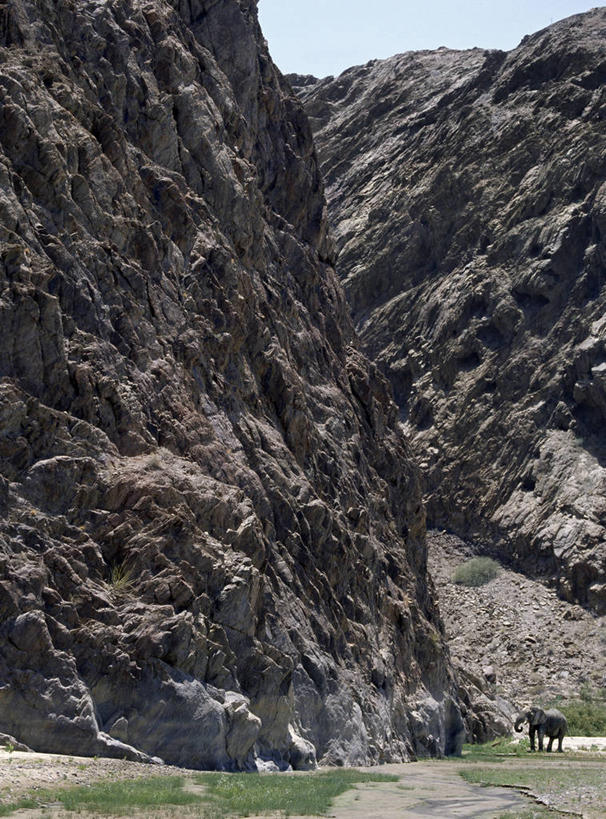 无人,竖图,室外,沙漠,哺乳动物,大象,野生动物,非洲,纳米比亚,地形,悬崖,非洲象,河床,自然,动物,摄影,考古学,干的,岩石,象,彩图