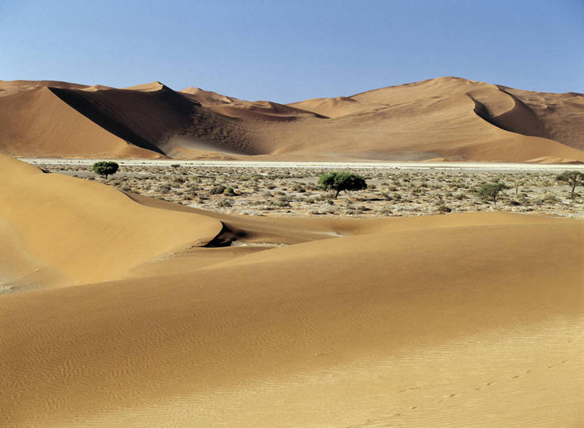 无人,横图,室外,沙漠,纳米比亚,阴影,沙子,沙丘,草,黄色,红色,橙色,摄影,巨大,庞大,干的,宏大,硕大,伟大,纳米布沙漠,彩图,水污染