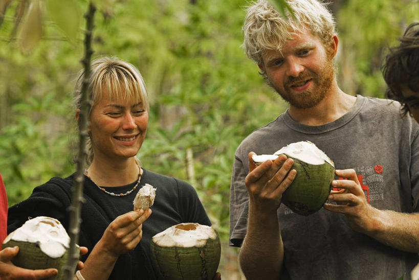 两个人,横图,室外,度假,团队,树林,植物,棕榈树,椰子,斐济,岛,食品,树,树木,绿色,自然,摄影,生长,成长,协助,热带气候,清新,环境保护,志愿者,南太平洋,休闲活动,彩图