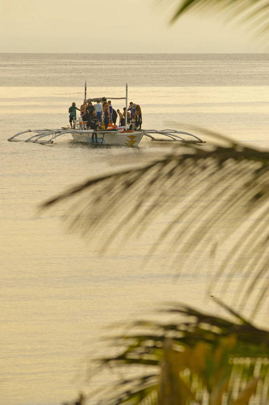跳水,同事,竖图,探险,成功,运动,合作,团队,集体,信心,海洋,水,船,菲律宾,队伍,黄昏,车队,潜水,摄影,生活方式,宁静,环境,领导,成就,合伙,领袖,环境保护,志愿者,水中呼吸器,冒险,彩图
