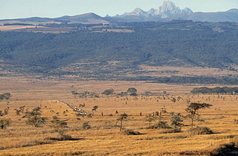 无人,跑,横图,室外,非洲,肯尼亚,地形,平原,摄影,肯尼亚山,马拉松赛跑,彩图