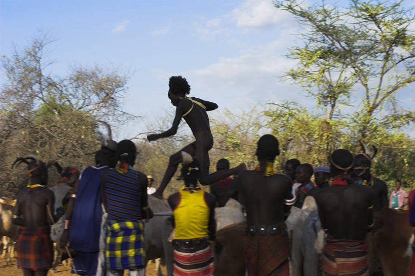 横图,牛,非洲,埃塞俄比亚,摄影,奥莫低谷,彩图,传统文化