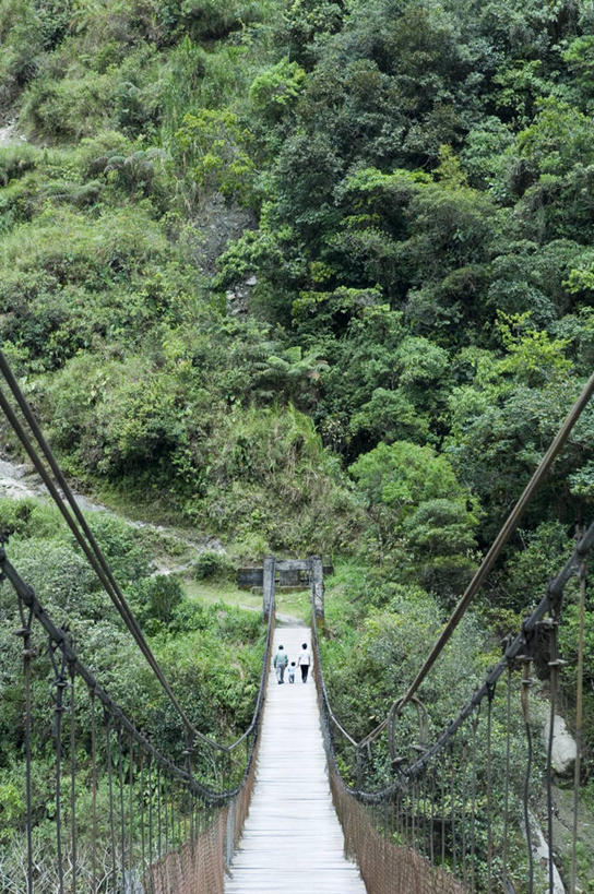 无人,竖图,厄瓜多尔,南美,摄影,吊桥,拉丁美洲,美国人,彩图