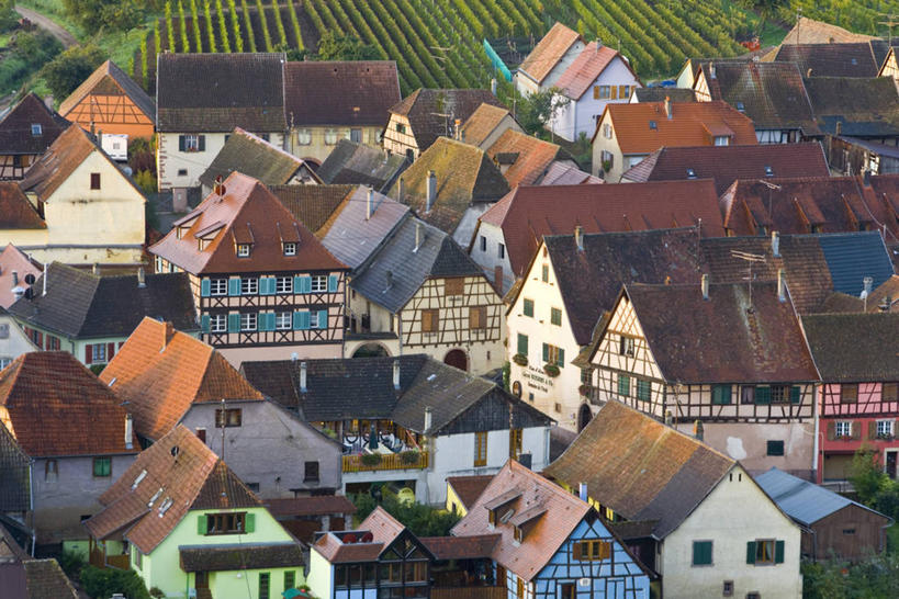 无人,横图,室外,法国,欧洲,乡村,葡萄园,摄影,阿尔萨斯,西欧,法国文化,彩图