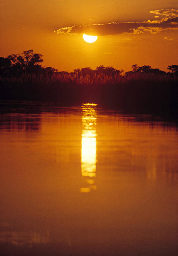 无人,竖图,室外,河流,日落,非洲,博茨瓦纳,摄影,奥卡万戈三角洲,彩图