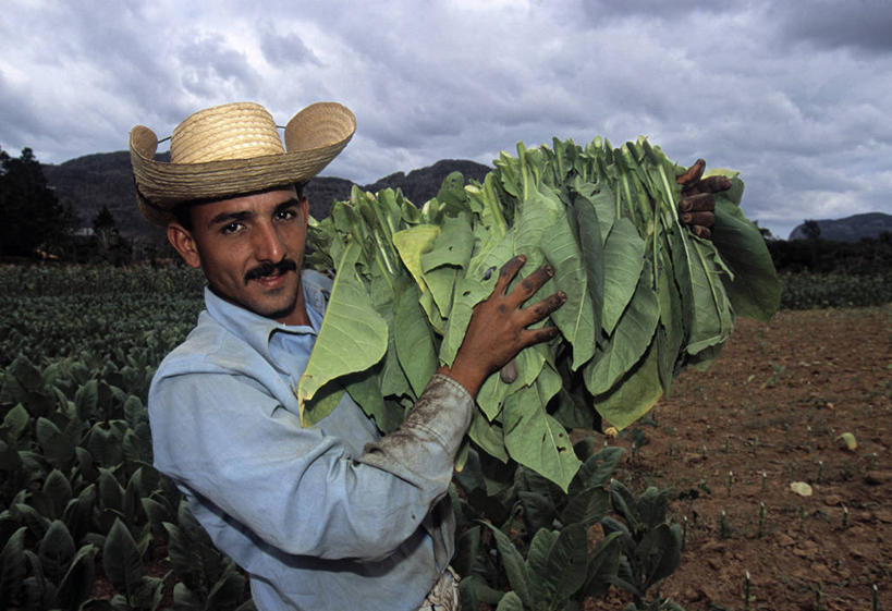 一个人,横图,古巴,摄影,拉丁美洲,肖像,比那尔德里奥,彩图