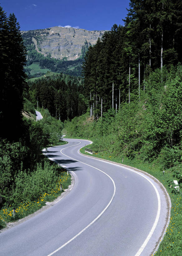 无人,竖图,室外,森林,风,路,瑞士,欧洲,弯腰,弯曲,摄影,彩图