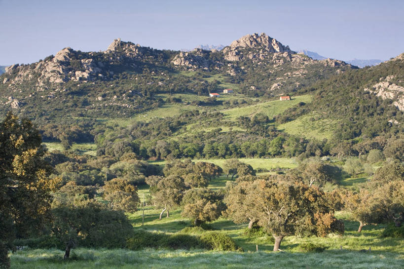 无人,横图,室外,美景,意大利,岛,地形,景观,田地,自然,景色,摄影,西欧,地中海文化,南欧,自然风光,意大利文化,撒丁岛,月亮谷,彩图