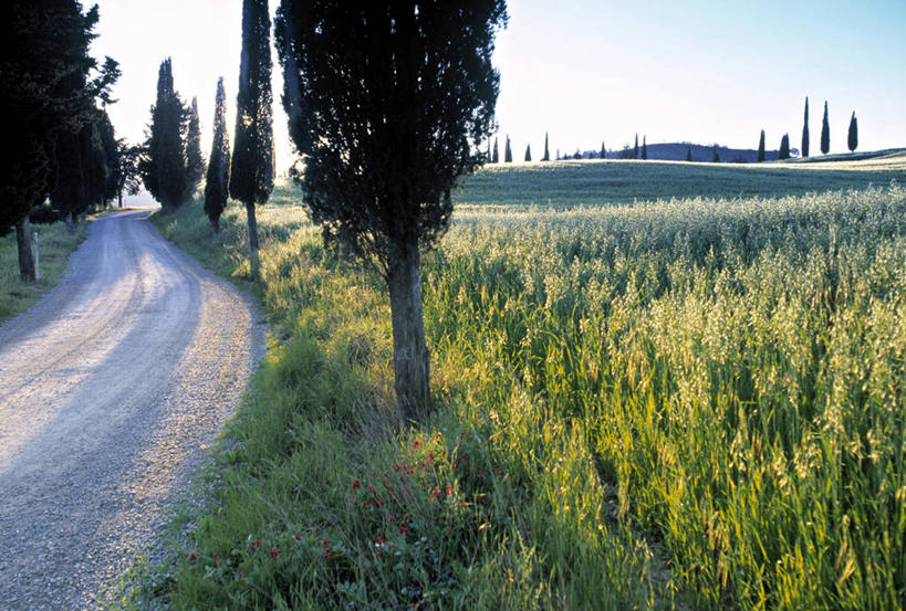 无人,横图,路,意大利,欧洲,摄影,托斯卡纳区,皮恩札,彩图