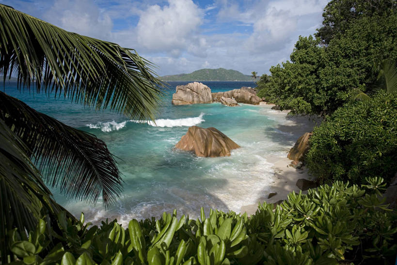 无人,横图,室外,棕榈树,塞舌尔,岛,海湾,摄影,热带气候,印度洋,拉迪戈岛,海滩,彩图