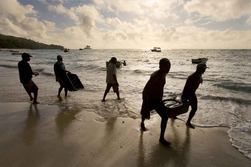 渔夫,横图,室外,塞舌尔,岛,摄影,热带气候,印度洋,剪影,马埃岛,海滩,彩图,钓鱼