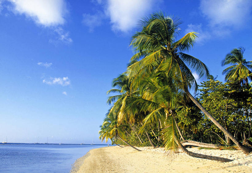 无人,横图,室外,旅游,度假,棕榈树,岛,娱乐,享受,休闲,放松,摄影,热带气候,多巴哥岛,海滩,彩图