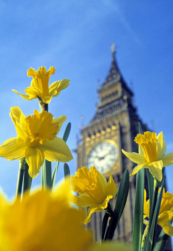 无人,竖图,城市,英国,欧洲,首都,英格兰,钟塔,摄影,政府,英国文化,议会大楼,彩图