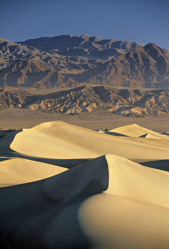 无人,竖图,室外,沙漠,美国,沙丘,摄影,北美,加利福尼亚,彩图