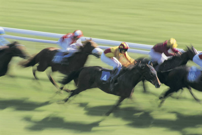 横图,运动模糊,赌博,运动,马,英国,欧洲,英格兰,摄影,迅速,西欧,北欧,英国文化,赛马,休闲活动,彩图