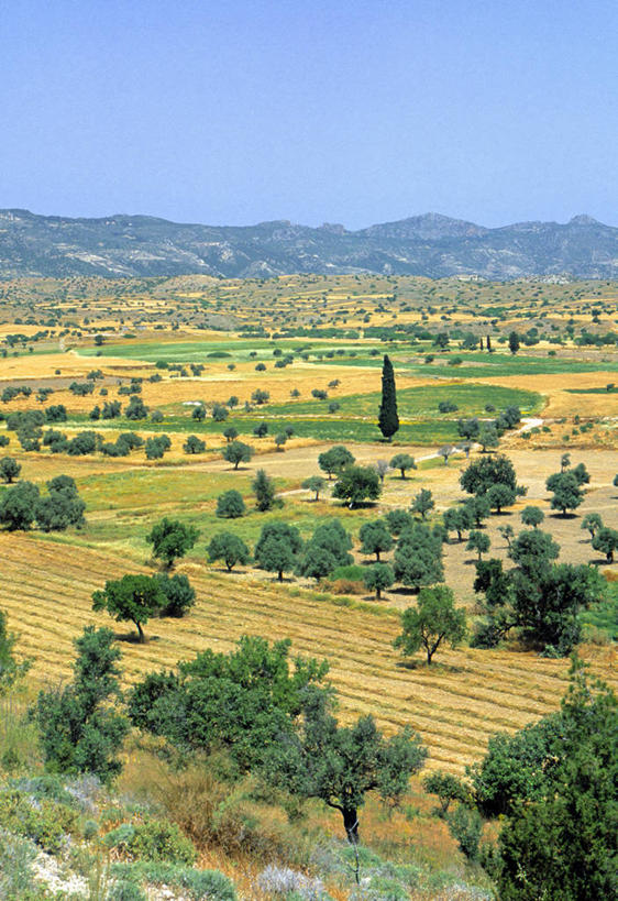 无人,竖图,农业,欧洲,塞浦路斯,岛,北,摄影,彩图,旅行