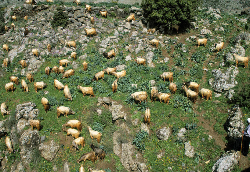 无人,横图,以色列,摄影,中东,彩图,旅行,戈兰高地