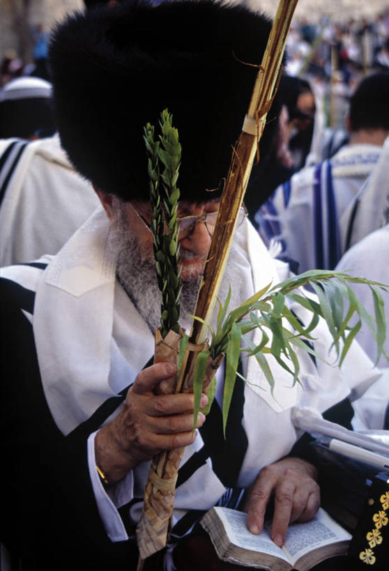 一个人,竖图,以色列,首都,摄影,宗教,中东,哭墙,犹太教,耶路撒冷,彩图,旅行