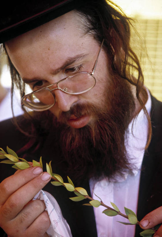 一个人,竖图,以色列,摄影,宗教,中东,犹太教,彩图,旅行,传统文化