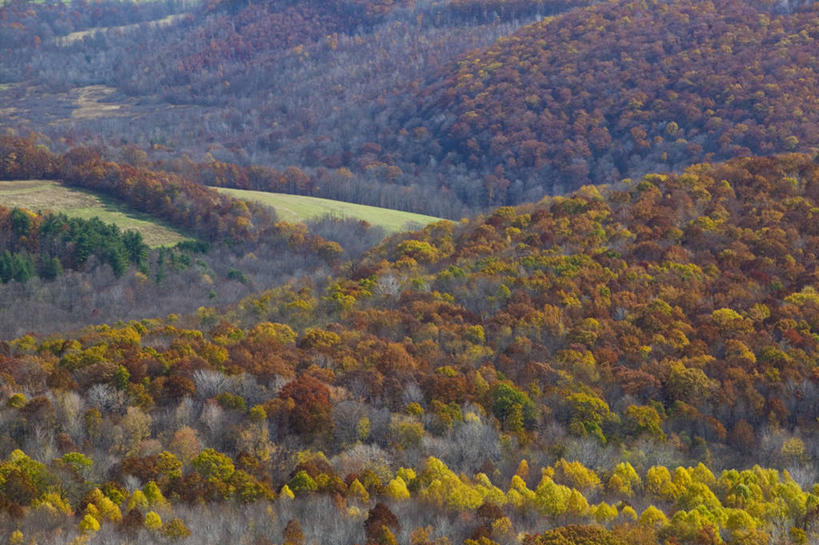 无人,横图,室外,叶子,美国,地形,树,颜色,摄影,北美,宾夕法尼亚,阿勒格尼山脉,美国人,秋天,彩图,阿巴拉契亚