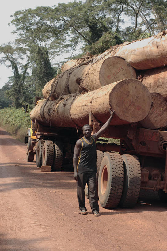 竖图,非洲,喀麦隆,木材,拖车,运输,摄影,彩图,商用车