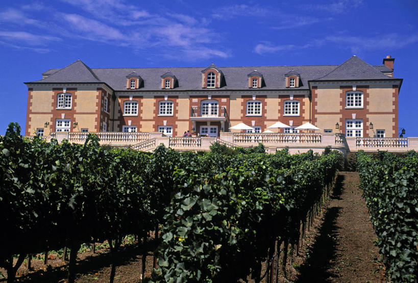 葡萄酒,无人,横图,城市,美国,摄影,北美,北美洲,加利福尼亚,美洲,旧金山,加州,加利福尼亚州,圣弗朗西斯科,三藩市,金州,黄金州,纳帕谷,北亚美利加洲,亚美利加洲,彩图,旅行,美利坚合众国