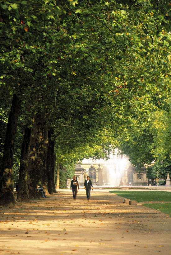 两个人,公园,竖图,室外,树林,比利时,首都,树,摄影,布鲁塞尔,彩图,旅行