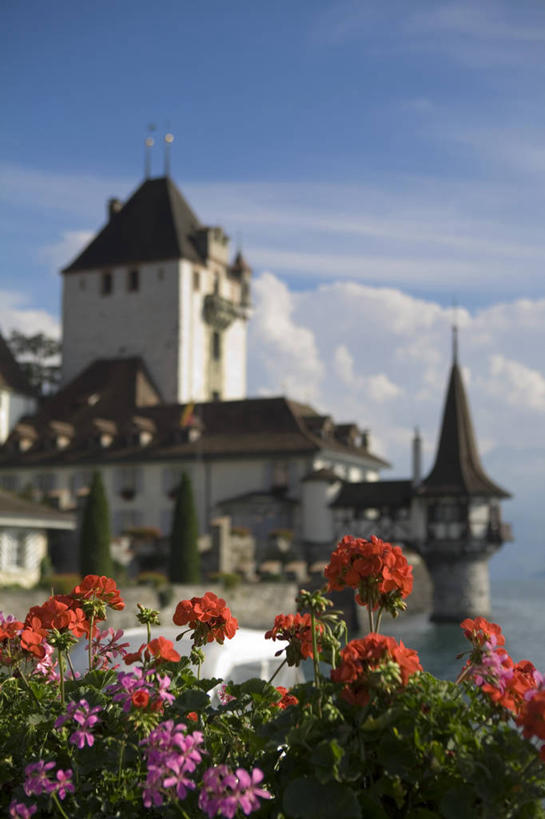 无人,竖图,室外,瑞士,欧洲,城堡,图恩湖,摄影,西欧,彩图