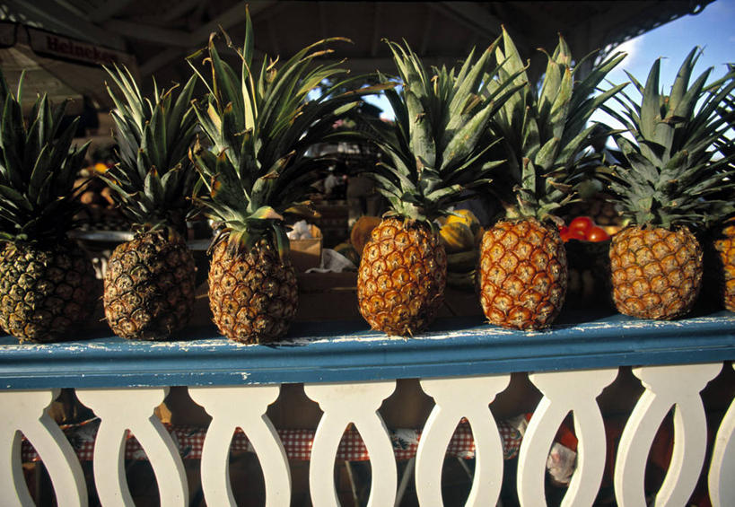 无人,横图,菠萝,岛,热带水果,摄影,热带气候,彩图,旅行