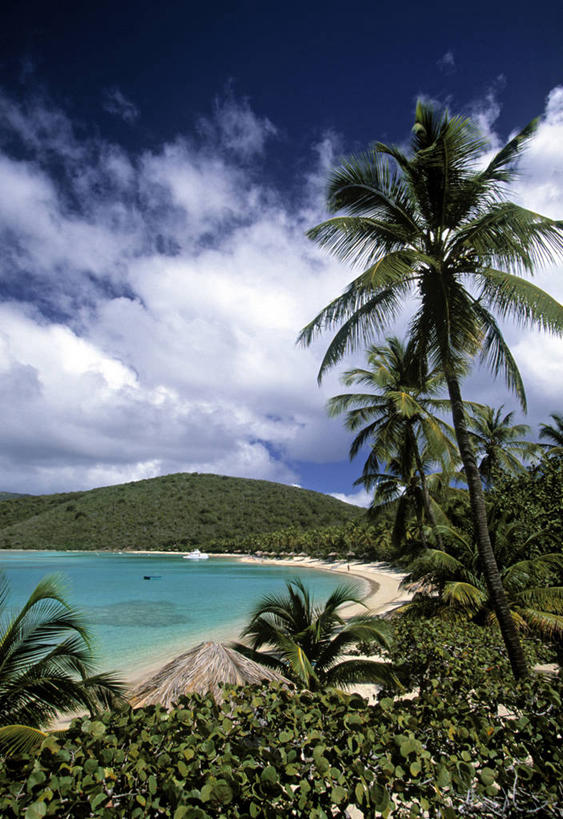 无人,竖图,室外,摄影,热带气候,英属维京群岛,海滩,彩图,旅行