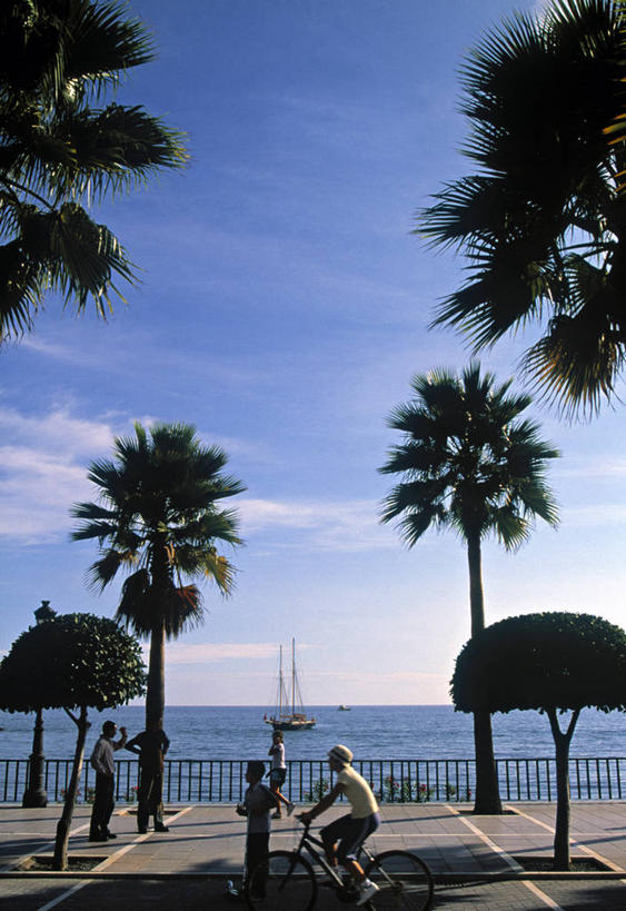 竖图,道路,路,西班牙,欧洲,小路,交通,摄影,安达路西亚,马拉加省,马贝拉,彩图