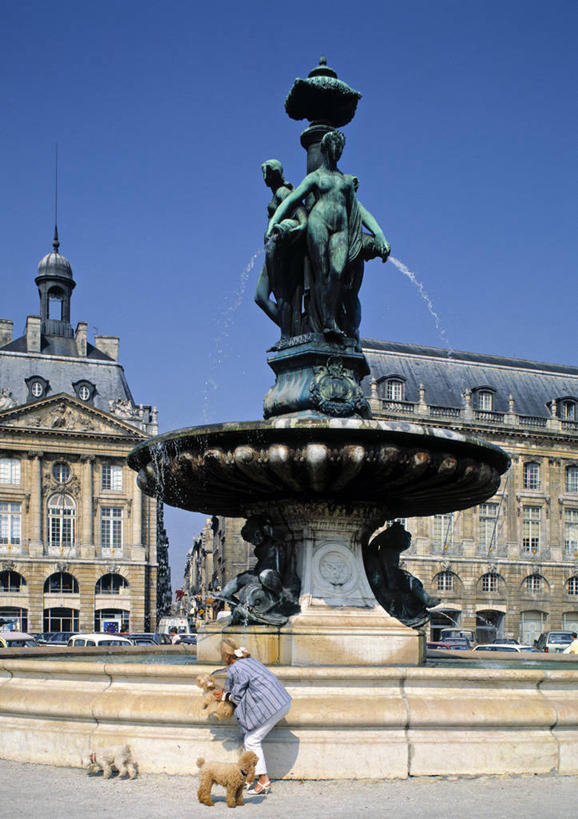 竖图,法国,欧洲,摄影,波尔多,吉伦特省,彩图