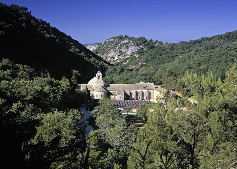 无人,横图,法国,欧洲,摄影,普罗旺斯,塞南克修道院,彩图