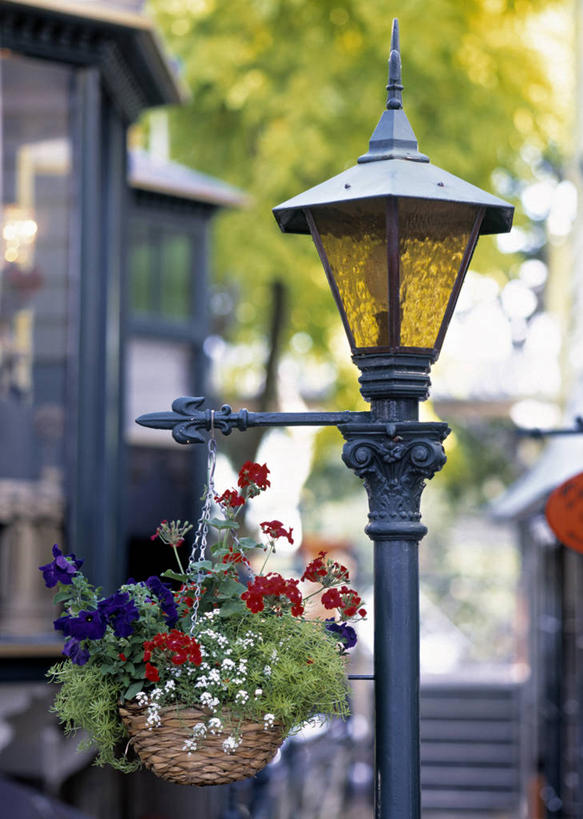 无人,竖图,路灯,新西兰,摄影,澳大拉西亚,彩图